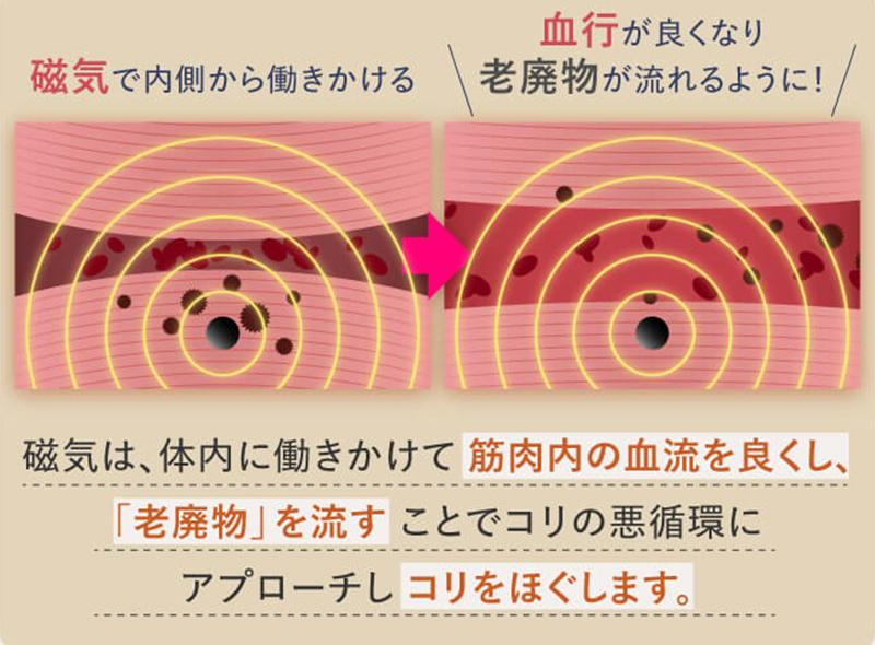 商品構造（磁気が埋まっていることが分かる）